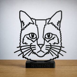 mascota-gato- con nombre personalizado